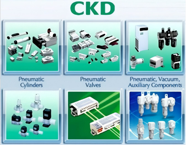 ckd viet nam